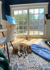 何处是归途(1V1 HE)