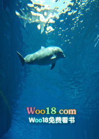 与旌入梦 (白鲸文)