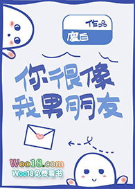 你很像我男朋友(重生)