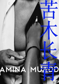 苦木长青(女B男A)